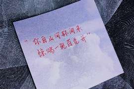 新会侦探公司：婚姻撤销办理程序